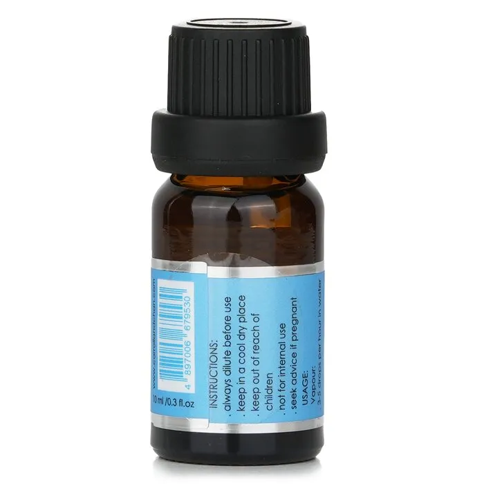 Fragrance Oil - # Ocean Mist - 10ml/0.3oz