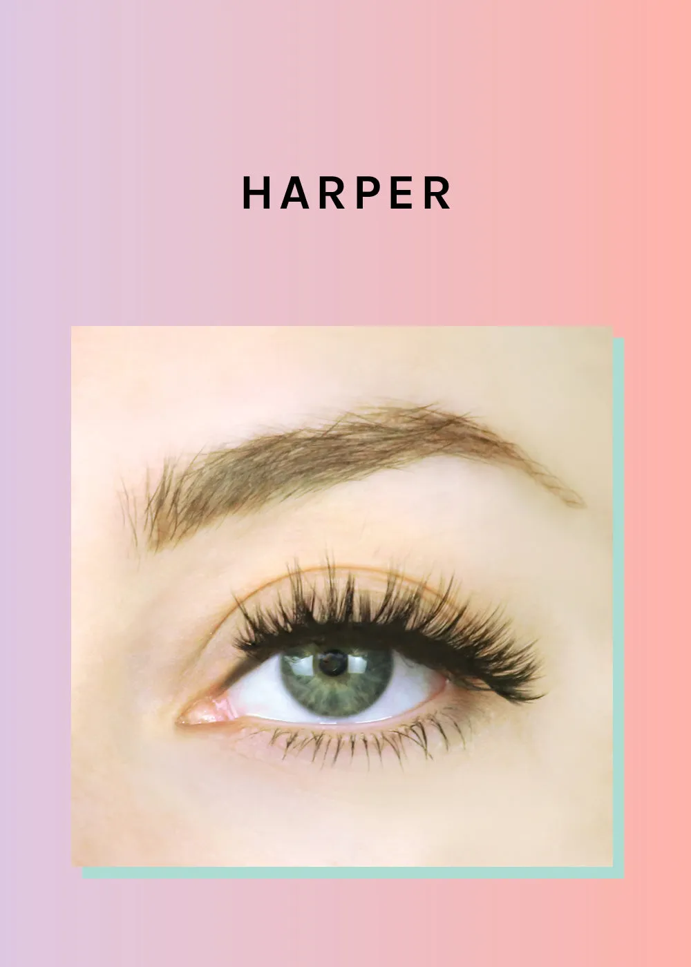 Paw Paw: 3D Faux Mink Lashes - Harper