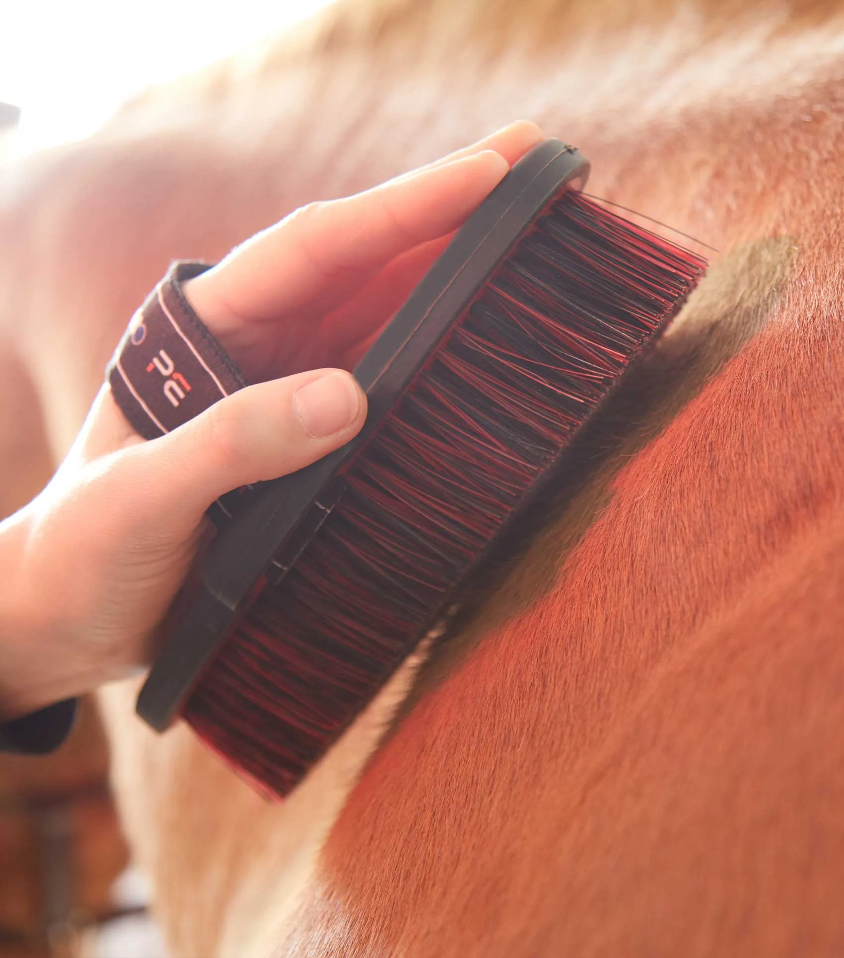 Soft-Touch Body Brush Med Blue & Peacock